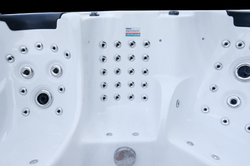 Swim Spa SR 850